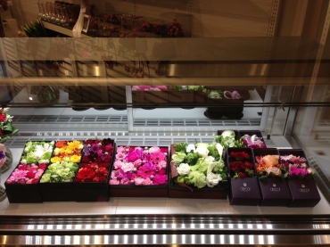 「フルカワ花店」　（熊本県熊本市中央区）の花屋店舗写真3