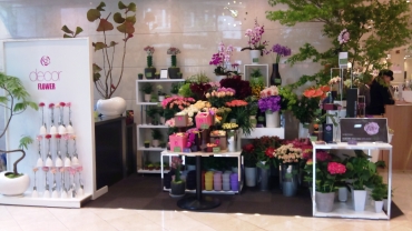 「フルカワ花店」　（熊本県熊本市中央区）の花屋店舗写真2